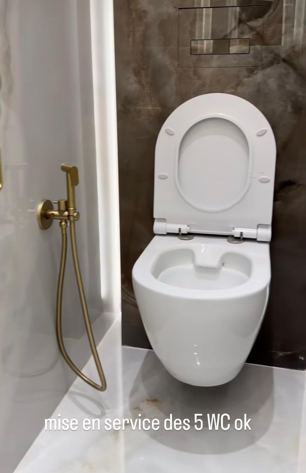 Salles de bains & WC en marbre – WC suspendu et robinetterie dorée